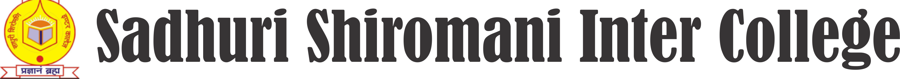 logo-dark